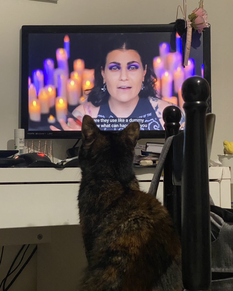 LadyRennax's tweet photo. Currently studying (excuse the messy desk) and I love to have on in the background Bailey’s murder mystery makeup videos… I think @BaileySarian has a new fan 🐱😂 https://t.co/OhdURSfNOf