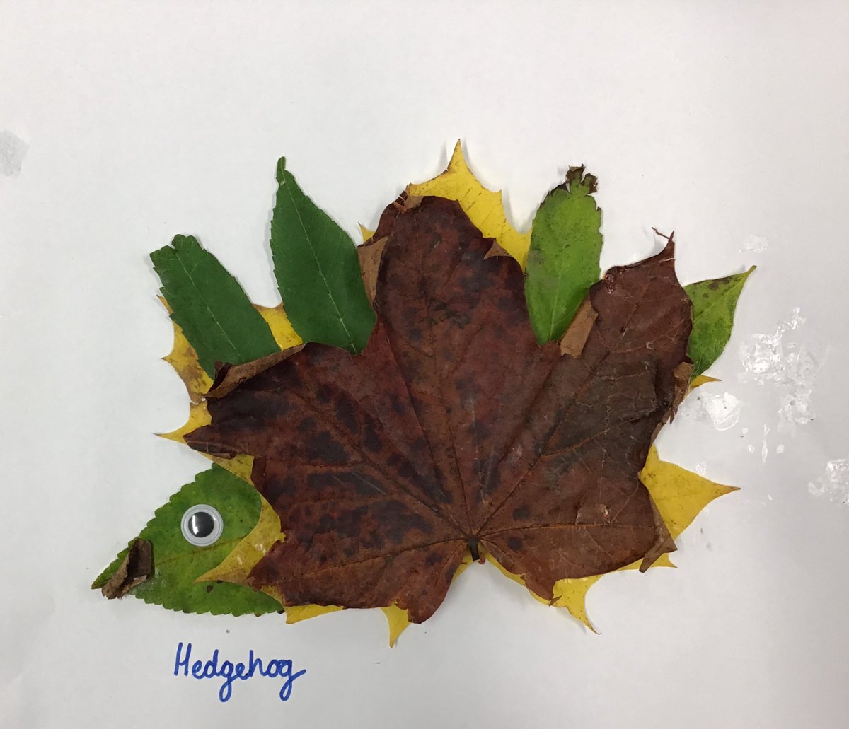 pastelteacher's tweet photo. Had such a lovely day with my little squad today making leaf characters! Look at them! 🍁🍂 https://t.co/9fL1K0VnG9