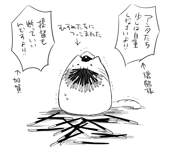 11月11日ですね 