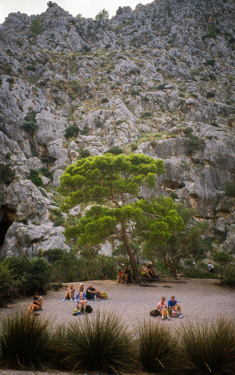 Renphotographie's tweet photo. Plagette.
#analogphotography #filmphotography #filmisnotdead #filmcommunity #ishootfilm #35mmfilm #kodakektachrome #contaxtvs #beach #majorque #color #diapo #photooftheday #renanperon https://t.co/zr9TvScoBA