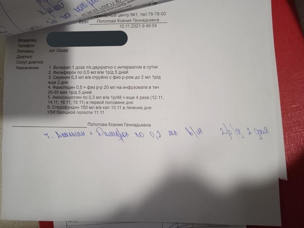 1D_HA_MAPCE_69_'s tweet photo. друзья, привет.
я к вам с просьбой о помощи, мне очень стыдно.
дело в том, что в том мой младший кот Оскар в тяжёлом состоянии.
я очень надеюсь, что вы сможете.
даже рубль, сможет его спасти.
буду рада даже распространению.
5469 3300 1384 6336 Анна Сергеевна А. https://t.co/scfFHGoeMs