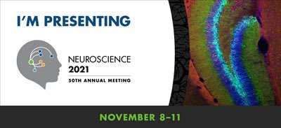 Check out our lab’s two poster presentations today- presented by awesome grad students Anthony Raus and Nellie Nelson! 🧠✨🧬 #SfN21