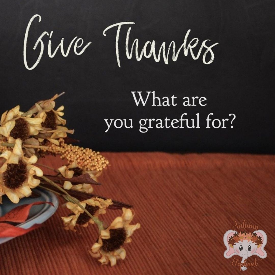 November is National Gratitude Month! What are you grateful for? 
#NationalGratitudeMonth #gratitude #thankful #autumnelephant #livesales #fall #autumn #sales #discounts #live #lives #videos #shopping #familystore #smallbusiness #localbusiness #shopsmall