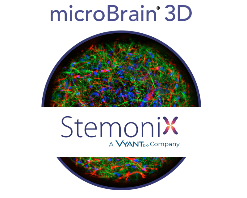 The StemoniX human iPSC-derived neural platforms are ideal for disease modeling and toxicity screening. Visit our virtual booth at #SfN21 and connect with us at info@stemonix.com to learn more!