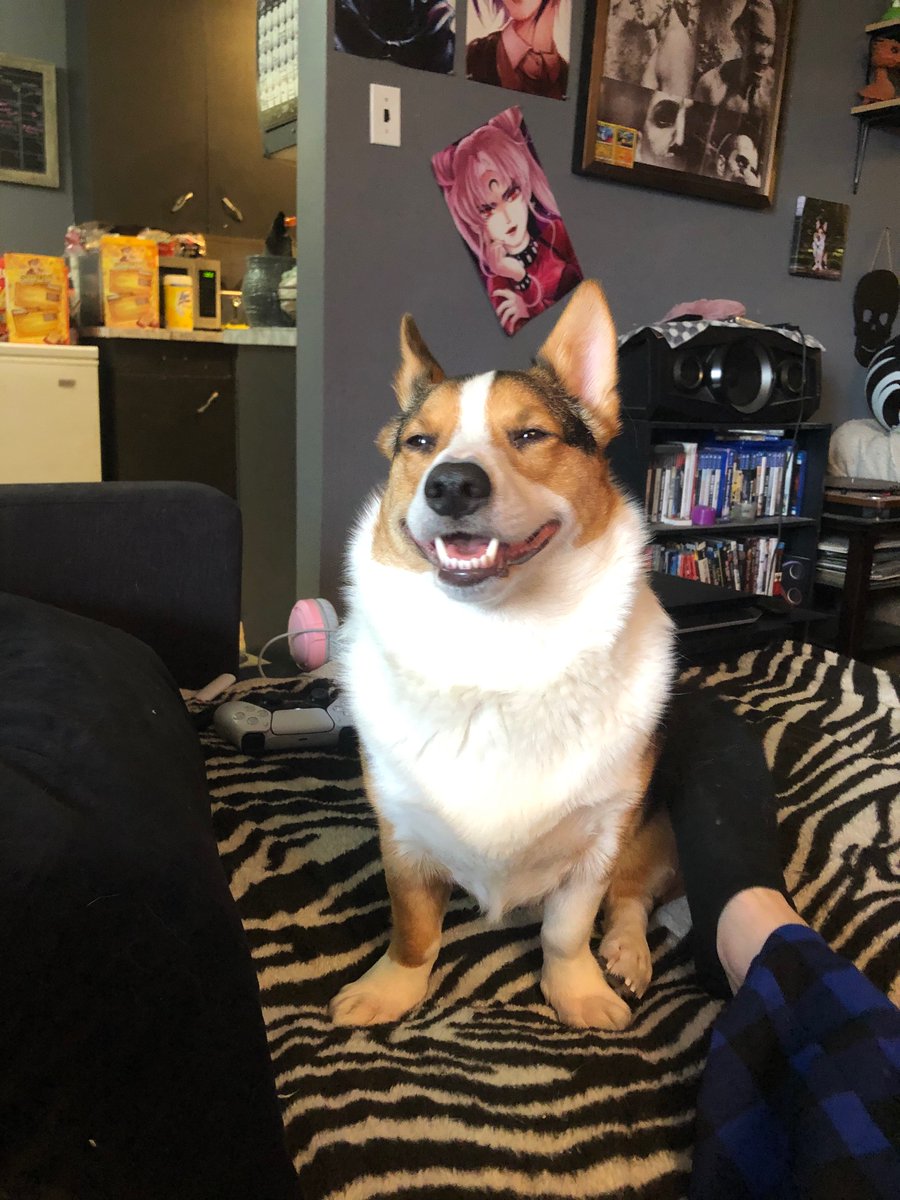 AcruxMusic's tweet photo. This is my son before and after receiving pets https://t.co/teQUgy54gM