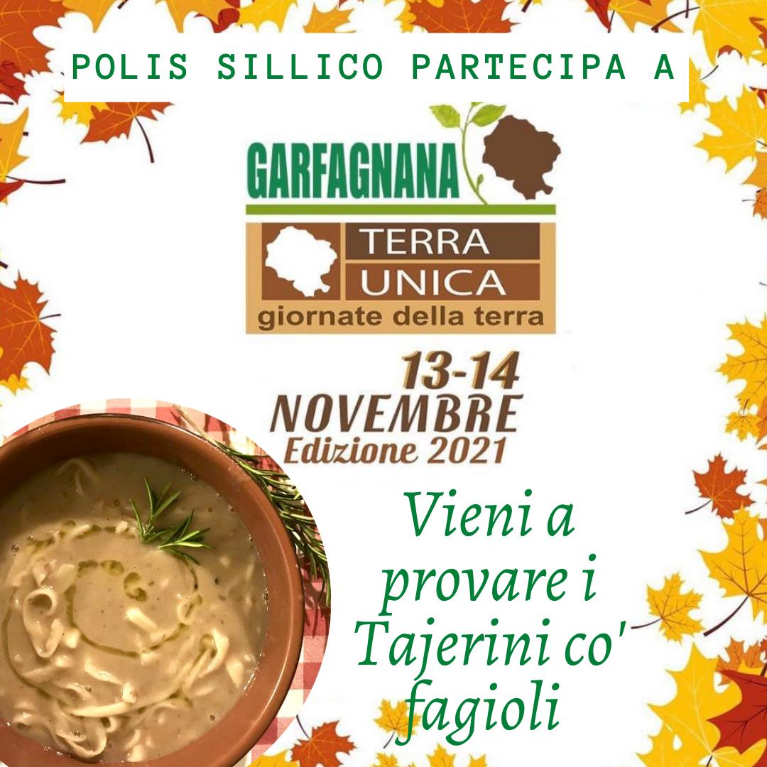 IlSillico's tweet photo. Vieni a provare i Tajerini co’ fagioli del Sillico a @garfagnanaterraunica 🍁🍃

Sabato 13 e Domenica 14 
presso la Tensostruttura di Castelnuovo di Garfagnana https://t.co/w0Ipr8AsWj