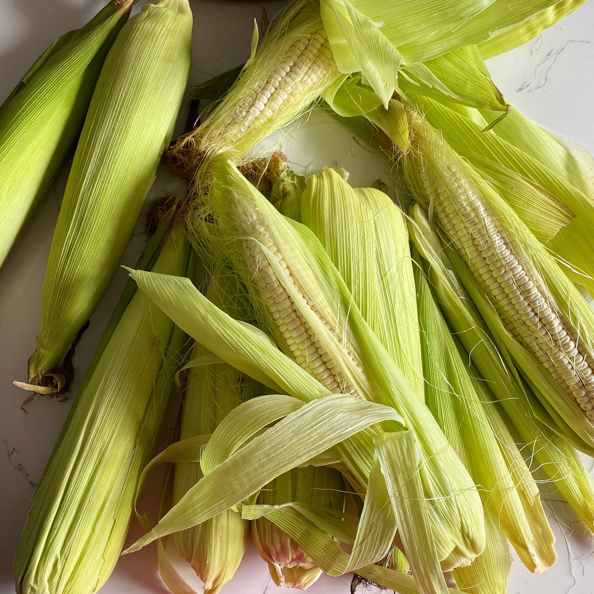 zola_nene's tweet photo. A LOVE LANGUAGE  🌽😍
.
Instead of flowers, he bought me a bunch of these 🥰 
.
.
#zolanene #mealies #ummbila #food #fresh #seasonal https://t.co/ydX3b8JZt7