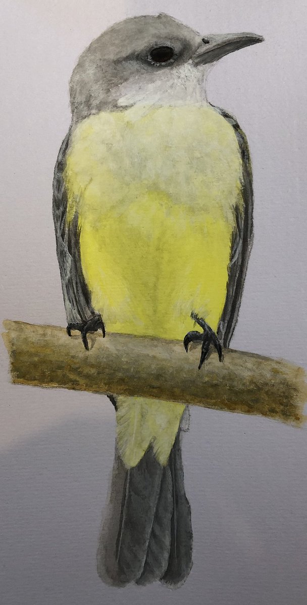 More attempted watercolors — I think shading in color is the hardest part for me so far 🤔