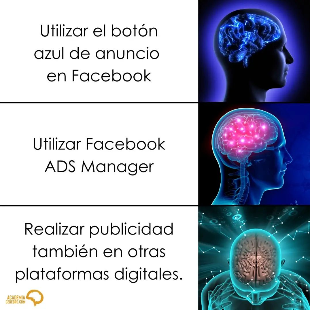 Academia Cerebro tweet media