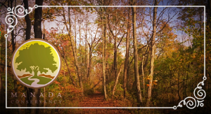 ManadaConserve's tweet photo. November Updates - https://t.co/UcHr6fAMKh https://t.co/MEMJLfA0HN