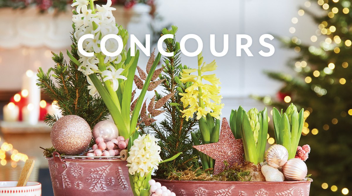 Truffaut's tweet photo. 📍#Concours
J-40 avant Noël ! Pour vous aider à mettre de nouveaux cadeaux sous le sapin, participez à ce jeu concours et tentez de remporter une carte cadeau Truffaut utilisable en magasins 🎄(hors partenaires et site)
Pour participer :
🎁Follow + RT @Truffaut

TAS le 19/11 🏆 https://t.co/I58P2Qbhke