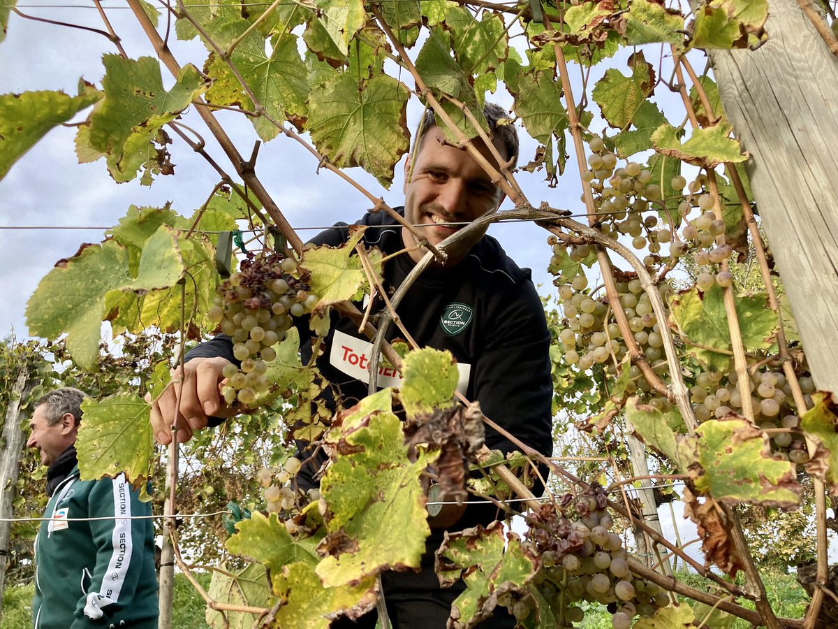 ici Béarn Bigorre tweet media