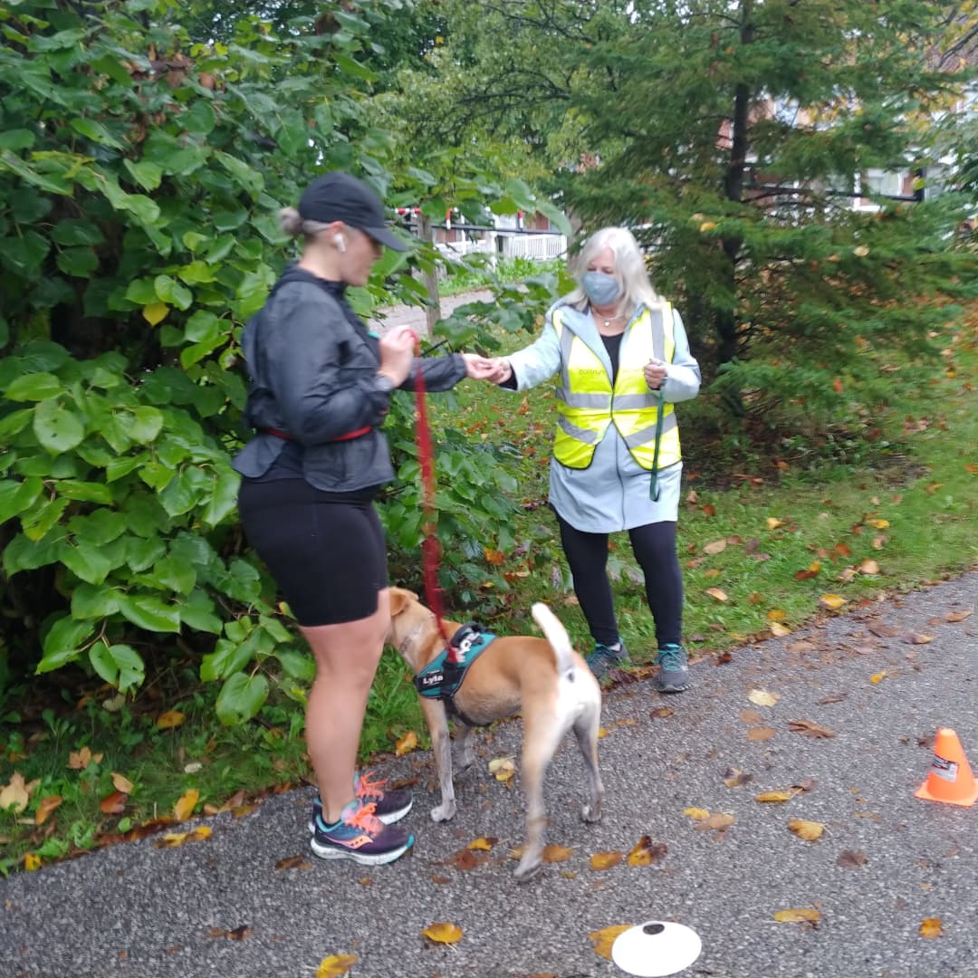 duffinsparkrun's tweet photo. Don't forget that dogs are welcome at #parkrun (although they don't need a barcode😜)! Make sure they are leashed, mindful of other participants, and pls try start at the back to minimize the risk of unwanted entanglement:) https://t.co/PeBUlhDf95
