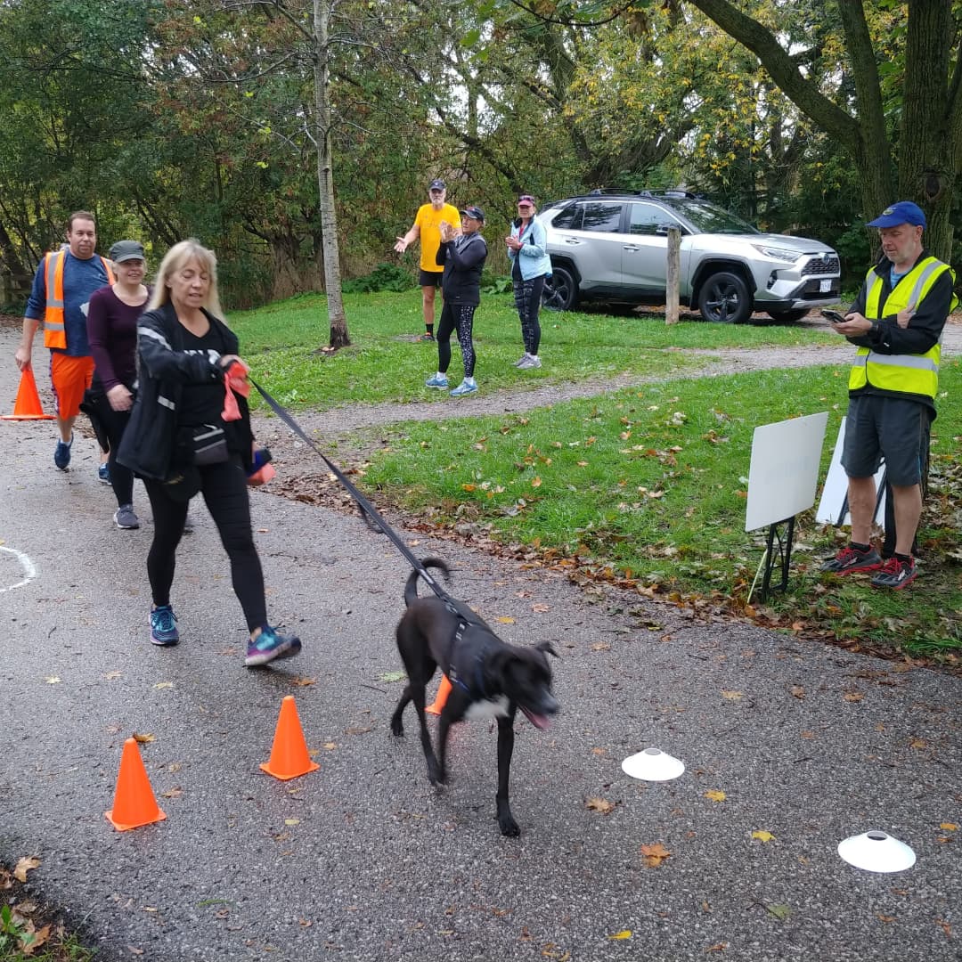 duffinsparkrun's tweet photo. Don't forget that dogs are welcome at #parkrun (although they don't need a barcode😜)! Make sure they are leashed, mindful of other participants, and pls try start at the back to minimize the risk of unwanted entanglement:) https://t.co/PeBUlhDf95