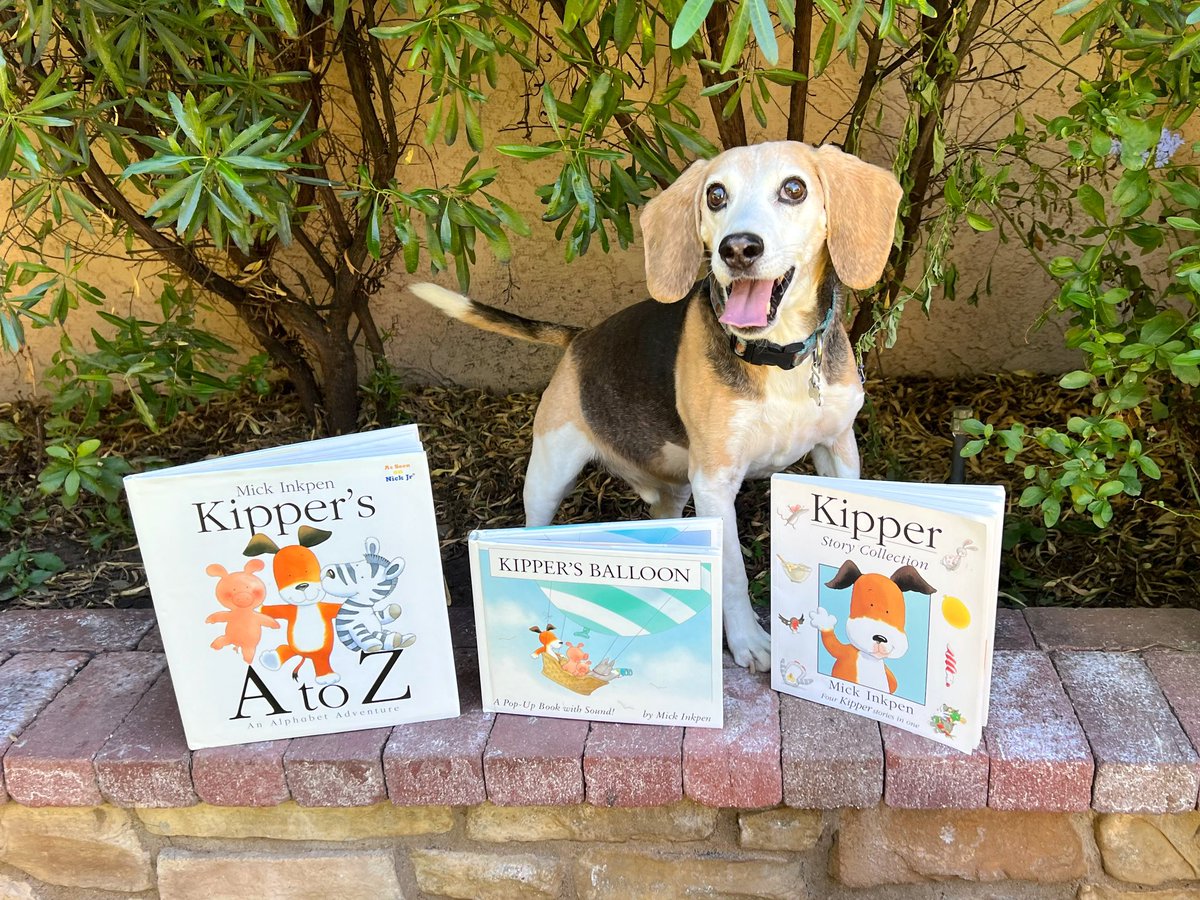 ChiChiRescueDog's tweet photo. Did you know that our Kipper is named after Kipper the Dog in British author and illustrator Mick Inkpen’s books? Megan loved the Kipper books when she was little, so Kipper was the first name she suggested when we adopted our Kipper. 
#childrensbookweek #MickInkpen #kipperthedog https://t.co/VKysvwzZeb