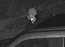 CStop2020's tweet photo. SEARCHING FOR ENTERING AUTO SUSPECT: The @ChathamCountyPD is searching for an entering auto suspect who is wanted in connection with a crime that occurred on Whitefield Avenue. Call Crime Stoppers at 912-234-2020. Tipsters are anonymous and may qualify for a cash reward. https://t.co/IK20mcyoiO
