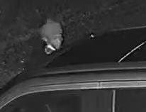 CStop2020's tweet photo. SEARCHING FOR ENTERING AUTO SUSPECT: The @ChathamCountyPD is searching for an entering auto suspect who is wanted in connection with a crime that occurred on Whitefield Avenue. Call Crime Stoppers at 912-234-2020. Tipsters are anonymous and may qualify for a cash reward. https://t.co/IK20mcyoiO