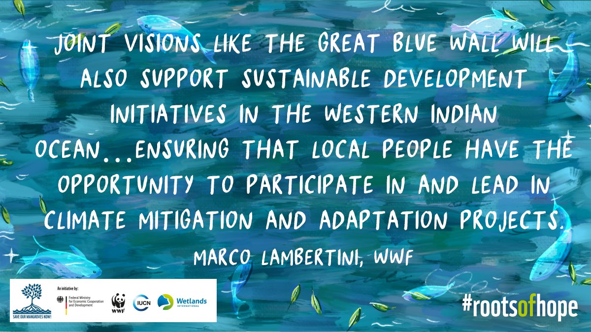 Marco Lambertini <a href="/WWF_DG/">Kirsten Schuijt</a>, Director General of <a href="/WWF/">WWF</a>, celebrates the power of collaborative efforts like the Great Blue Wall - launching NOW - to support #sustainabledevelopment initiatives in the WIO region, such as Save our Mangroves Now! 🌱