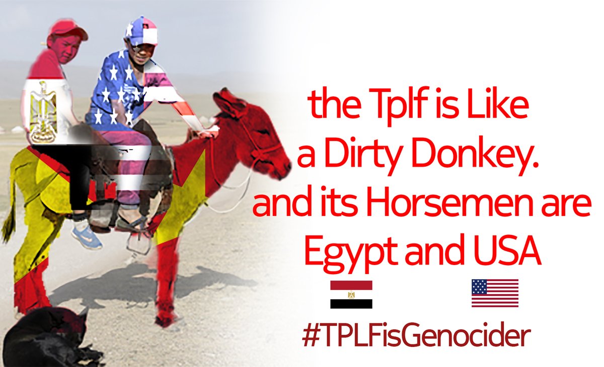 DanielMelkamuG's tweet photo. the #TPLF  is Like  a Dirty Donkey.  and its Horsemen are  #Egypt &amp; #USA 
#NoMore 
#TPLFisGenocider https://t.co/MmB37pIsm7