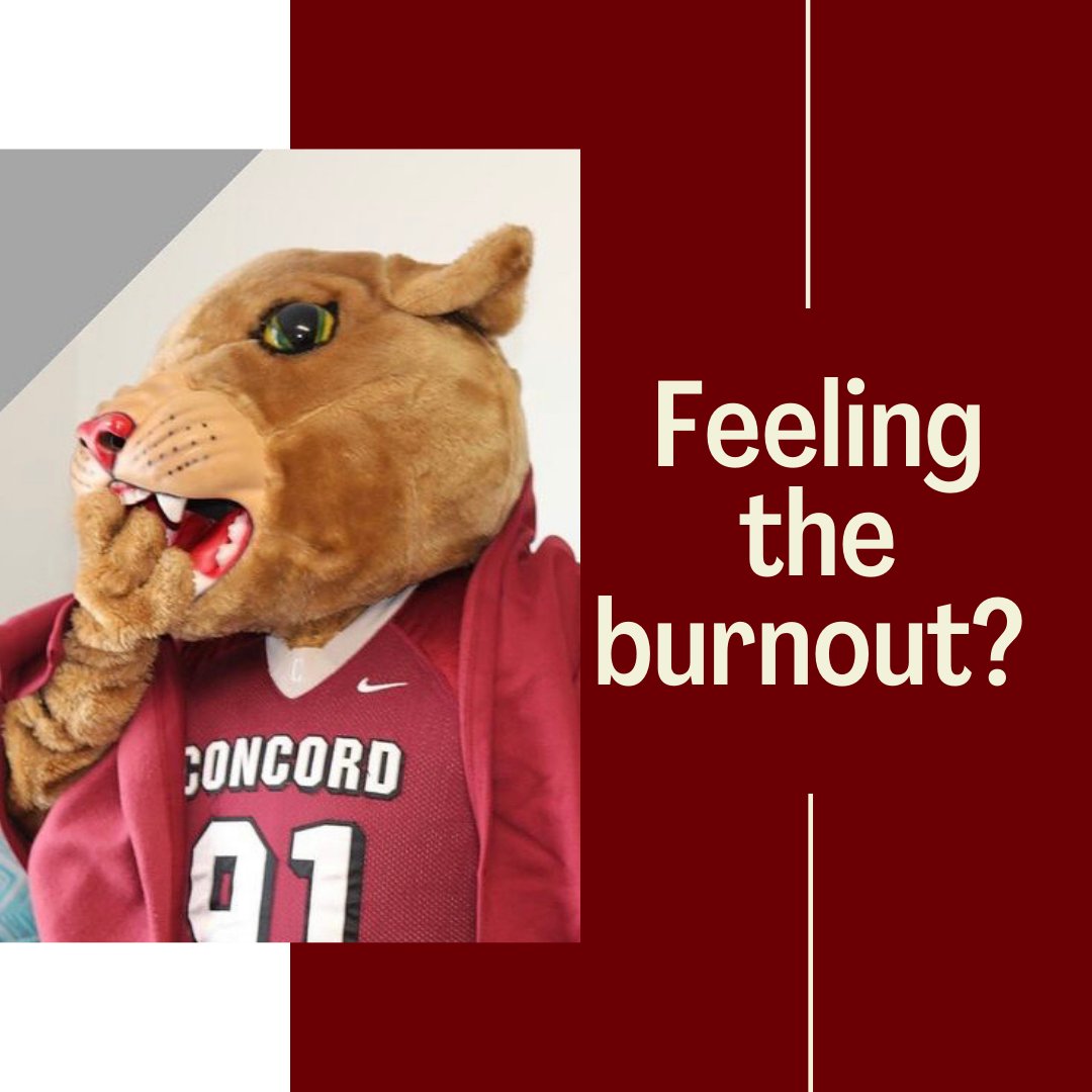 Many students at this time of year are starting to feel slumped, and the burnout is setting in. During this time, remember to do your best, take breaks, and take care of yourself. Get your rest, eat healthy, drink water, and keep going. It's almost Thanksgiving break!