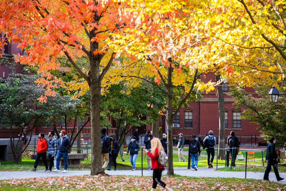 Harvard's tweet photo. Fall colors on campus 🧡  #HarvardInAutumn https://t.co/L4tzMsv9qw