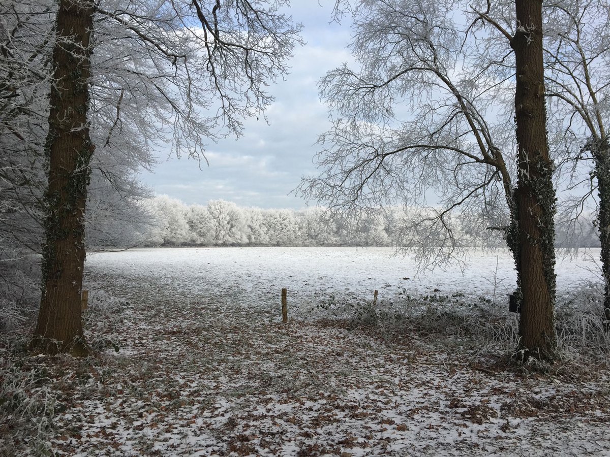 PureyogaNL's tweet photo. Verwen jezelf met de winter - https://t.co/JdrYOPcw9S https://t.co/GHyzMSsIFL