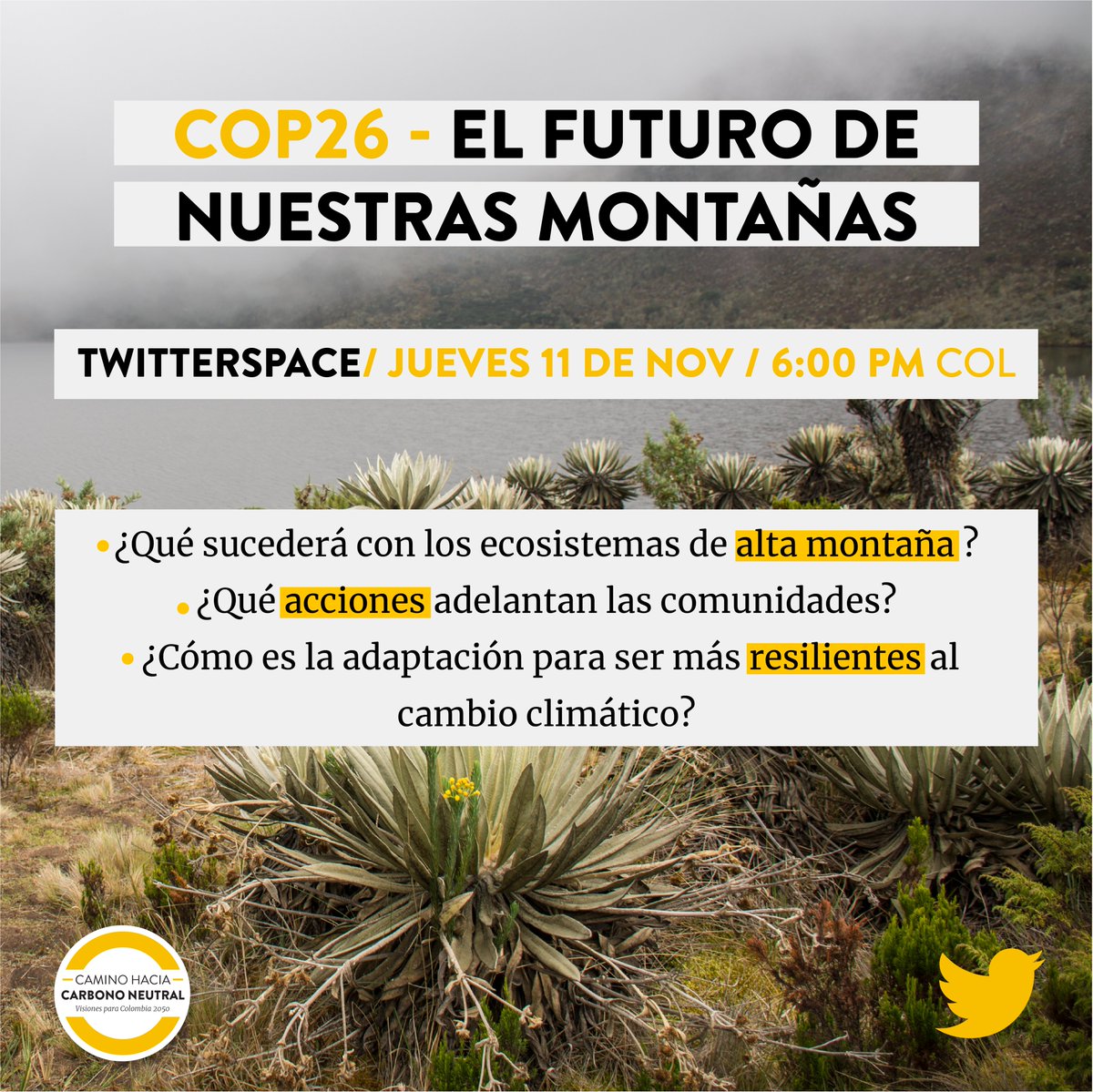 📢 Hablemos sobre el futuro de nuestras montañas. 🏔️ Sabemos que nuestros #páramos y #glaciares están siendo afectados por fenómenos climáticos y la presión de las actividades humanas.  
Por eso hablaremos sobre acciones para #salvaguardarlos y su rol en el clima.

¡Agéndate! 👇