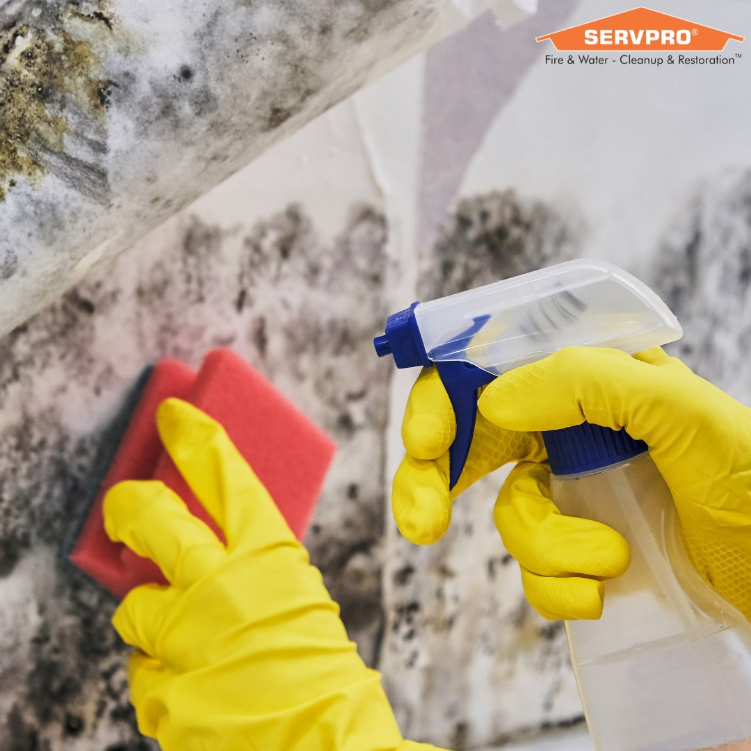 Mold can be very invasive.⁠ This may result in negative health effects as well as damage.⁠ 😷⁠
SERVPRO will assess your mold issue and work to determine the source so that damage causing mold doesn’t return.⁠ 🙅🏻‍♂️⁠
⁠