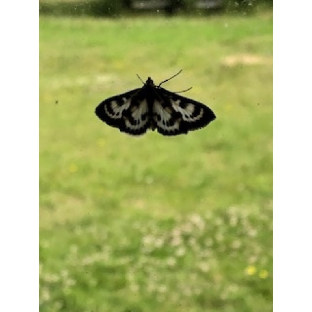 The Team tweet media