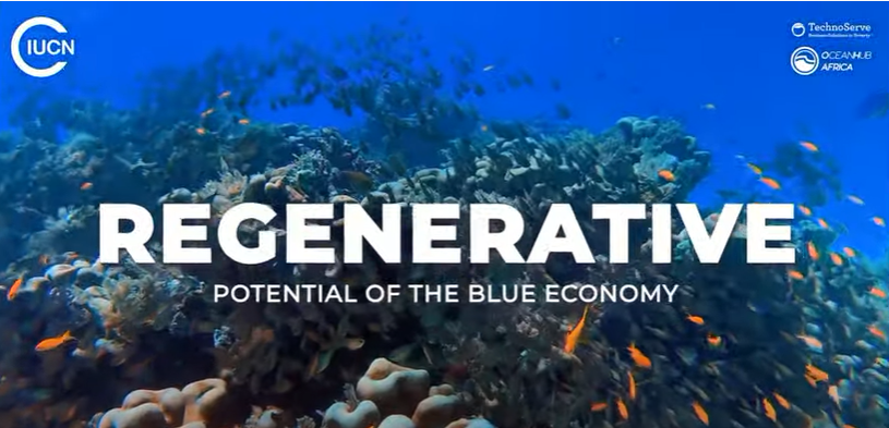 <a href="/OceanHubAfrica/">OceanHub Africa</a> on the Regenerative potential of the Blue Economy at the launch of the #GreatBlueWall today at #COP26 

<a href="/TechnoServe/">TechnoServe</a> <a href="/pmanyara/">Precious Manyara</a> <a href="/thomas_sberna/">Thomas Sberna</a>