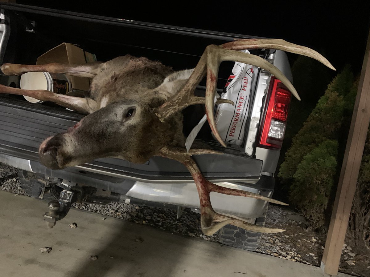 DirtRacer_42's tweet photo. Always tell myself wait for the bigger one. Wasn’t the biggest but was a nice deer and another tag filled. Cater farm has treated me well. Hopefully I can hold out for a big one in the future #bowhunting #ohiobuck https://t.co/7mqw7ynuy5
