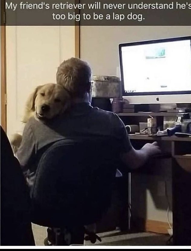 WholesomeMeme's tweet photo. https://t.co/FQJnaQxEYM