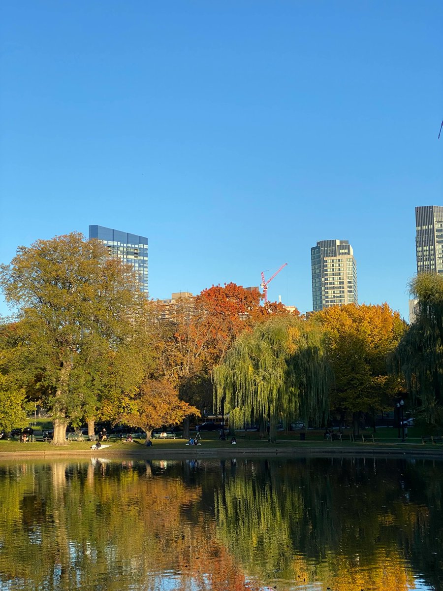 FisherCollege's tweet photo. Look across the street from campus, and you can still see gorgeous fall foliage in the Commons in November. #fallinboston #Boston #FallatFisher https://t.co/oPsXgvMCCo