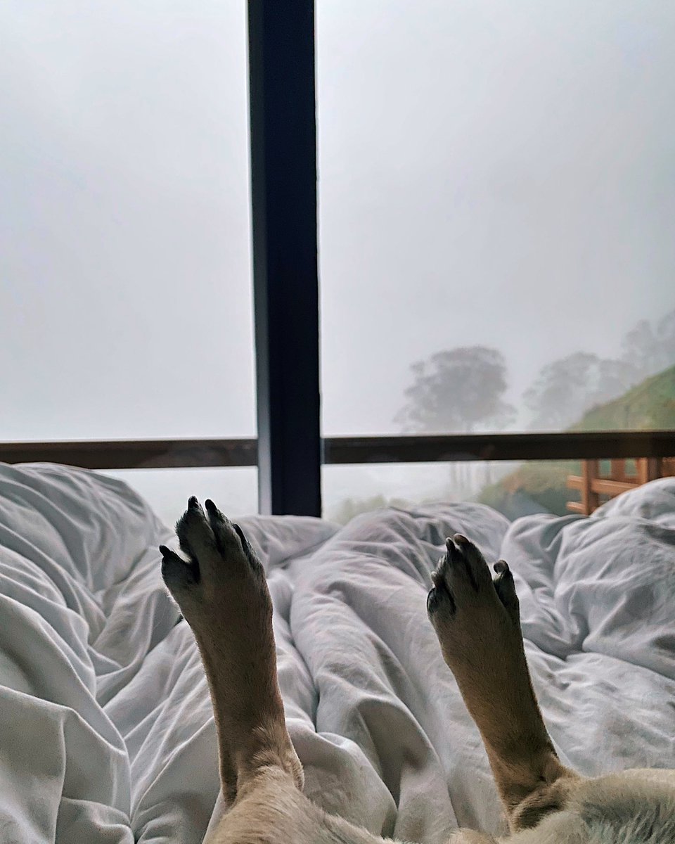 Consider this my Out Of Office response