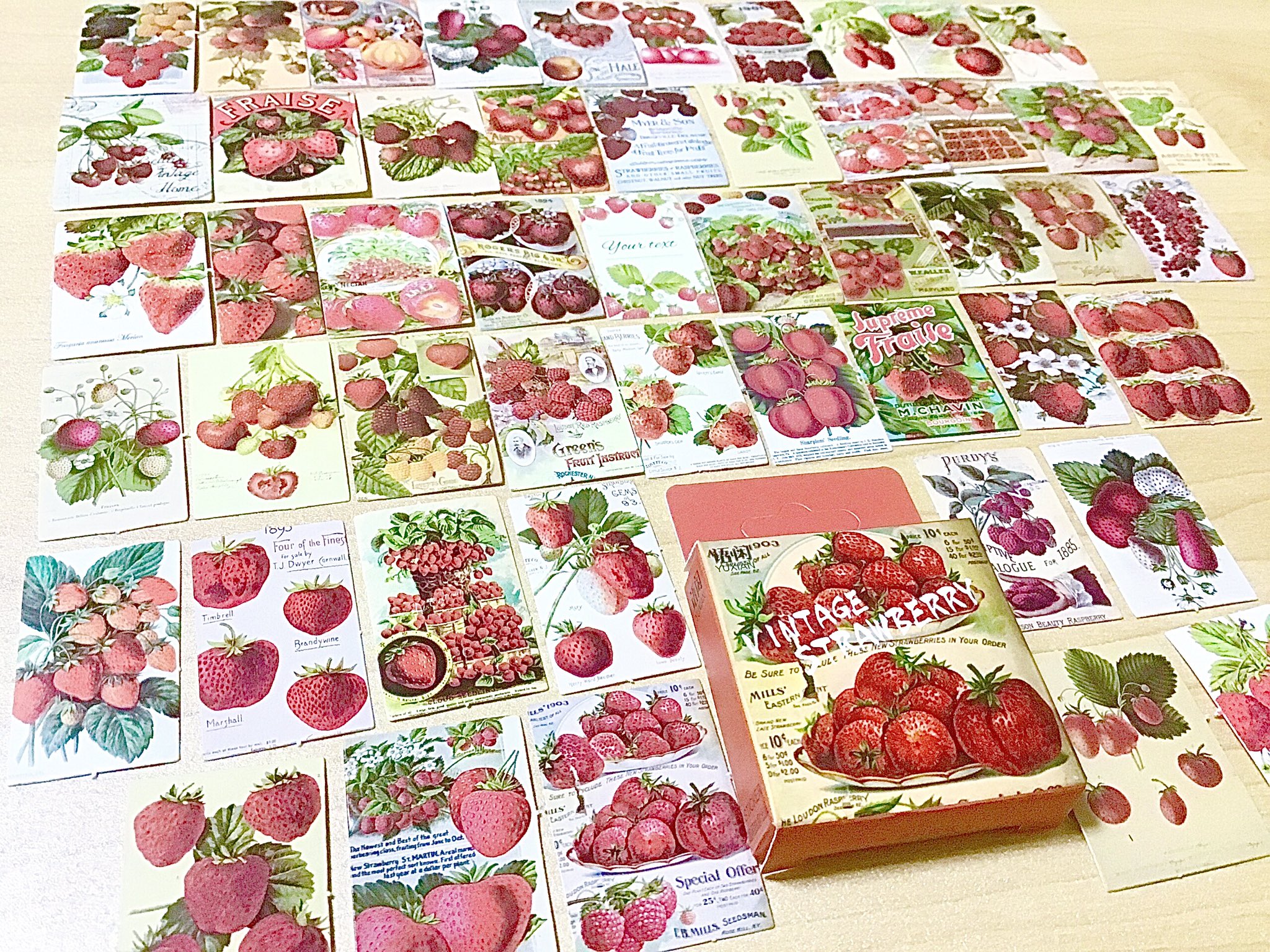新品❗️ラベル量販店シリーズ コラージュ素材 ステッカーシール