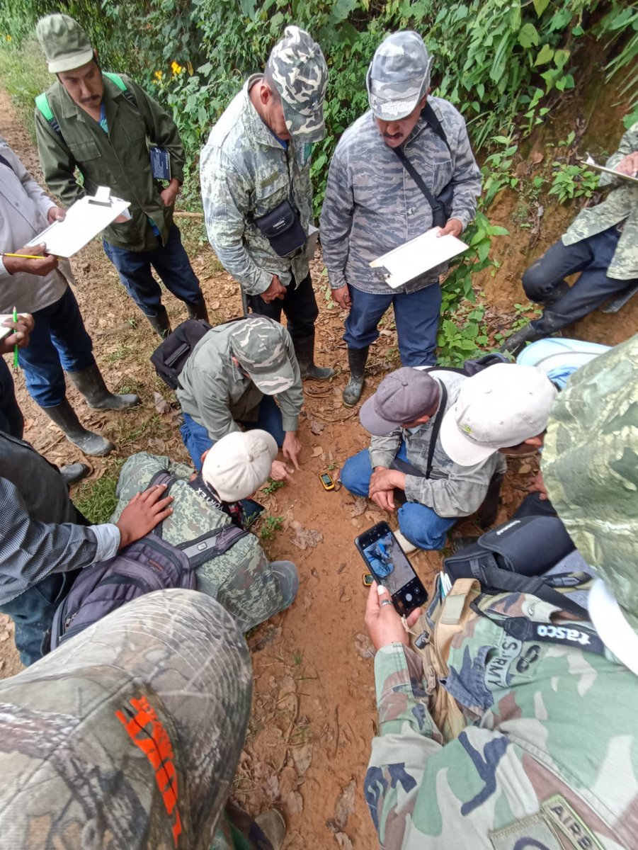 FONCET_AC's tweet photo. Dentro del proyecto implementado por @scolelte_mx y financiado por #ETCF se realizó un taller de capacitación en monitoreo biológico y reporte de disturbios ecológicos con brigadistas de la APRN La Frailescana. Gracias a @PronaturaSur y a @CONANP_mx por el apoyo. https://t.co/7nHK4WtDPH