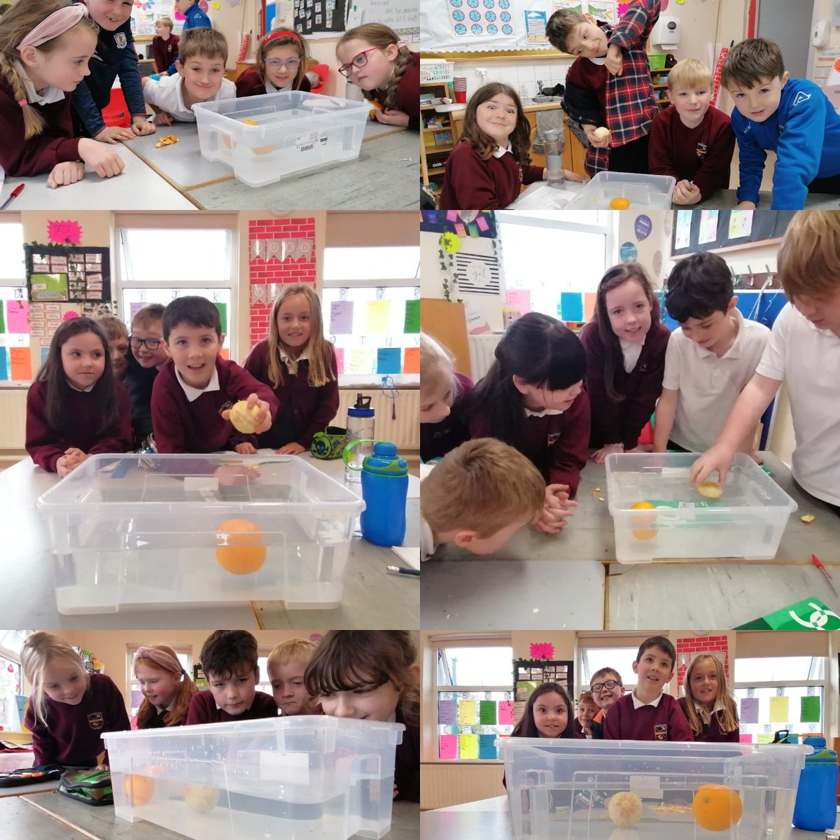 We were busy in second class today taking part in the 'how to sink an orange experiment' 🍊🌊 Lots of fascinated faces in the classroom with this activity! #ScienceWeek  <a href="/kinvarans/">Kinvara NS</a>