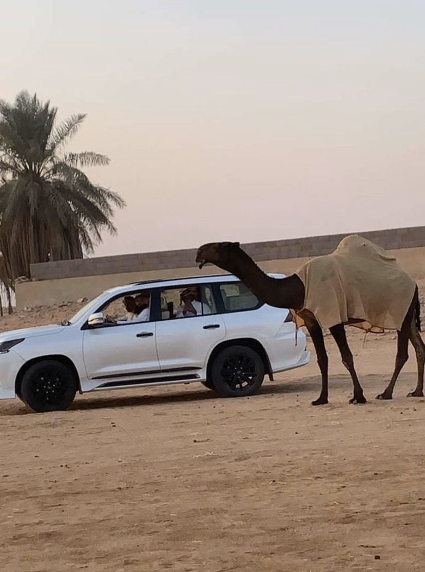 صدمه لـ عبدالله ناصر الجبري