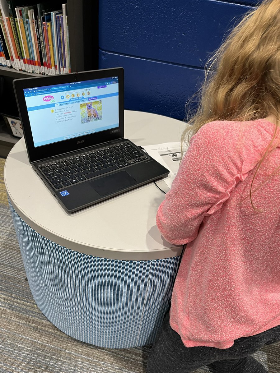 Alyson Collins tweet media