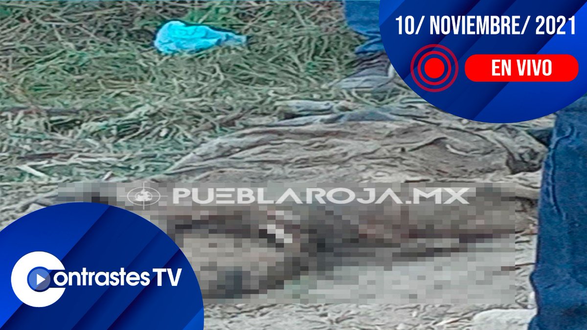 gomezcarlos79's tweet photo. 🔴 #ENVIVO #CONTRASTESTV del 10 de noviembre
🥺 #Fallece Azucena, la #cuarta #víctima mortal en #Xochimehuacán
☹️ #Sepultan entre porras a #ElNiñodeOro, murió en #jaripeo en #Atlixco
😡 Caen tres #padrastros #violadores de #hijas de sus parejas
https://t.co/wYdkhcg6ZY https://t.co/3ZvLTuTh0f