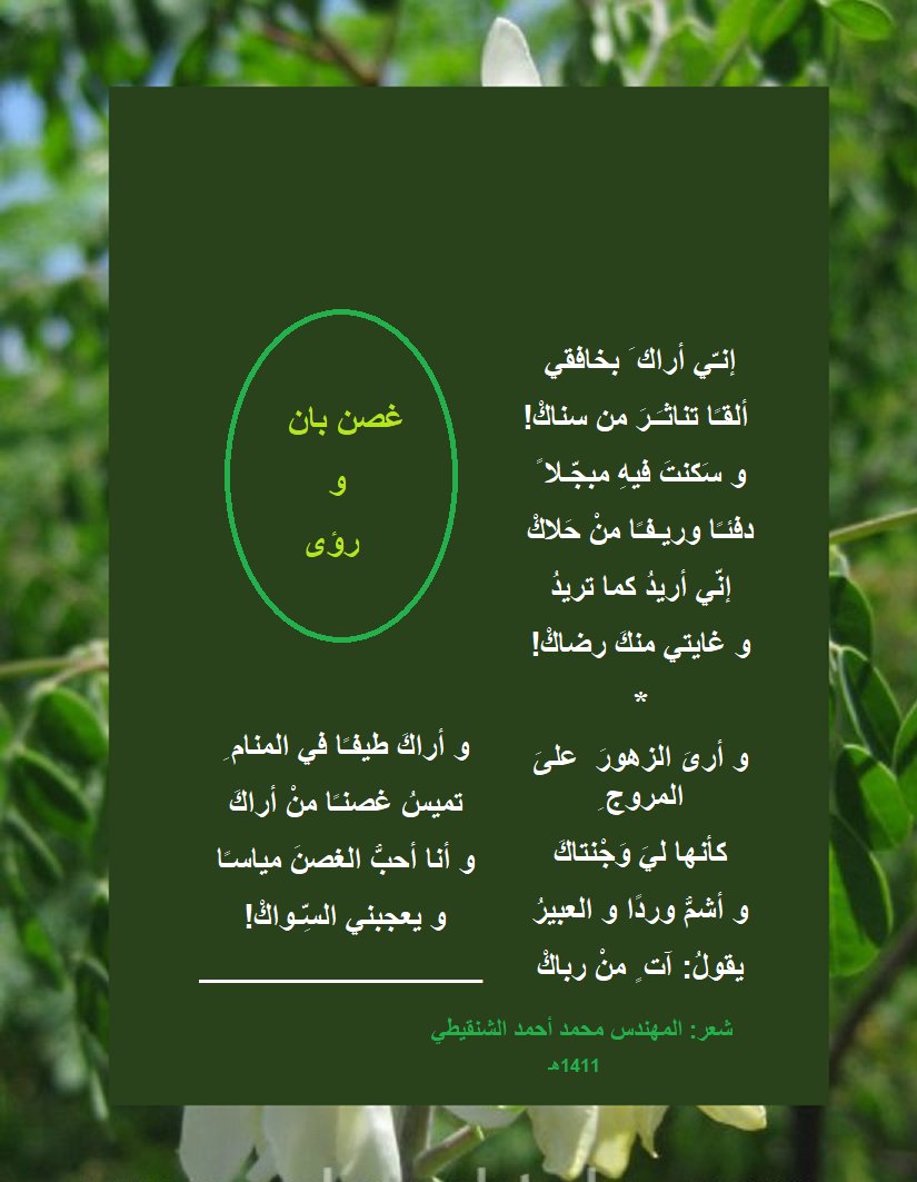 almohandis1's tweet photo. غصن بانٍ و رؤى https://t.co/aOREX0LsjF