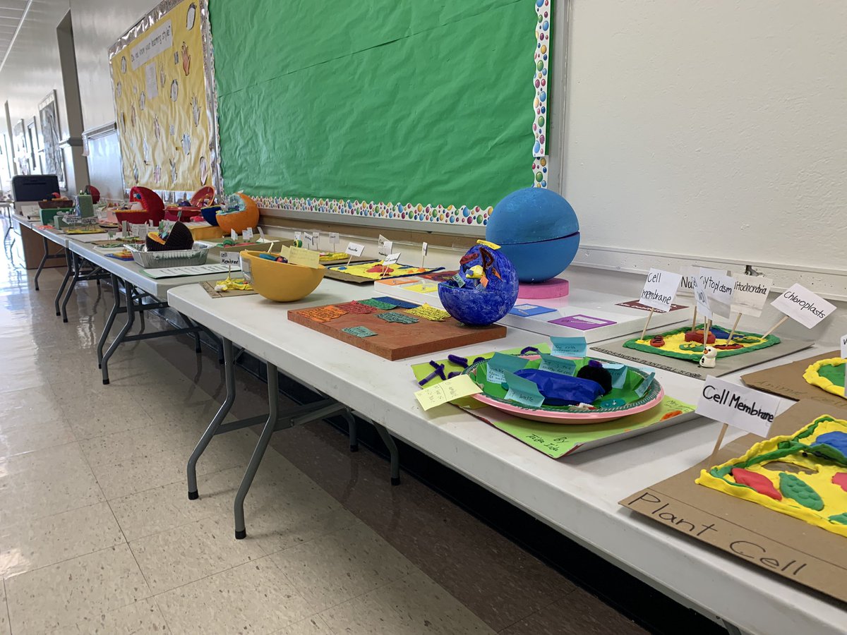 Who needs a microscope when #parsonshcsd students create and share these awesome models of cell cross-sections? @ParAPDriggers @JoanOKeeffesci