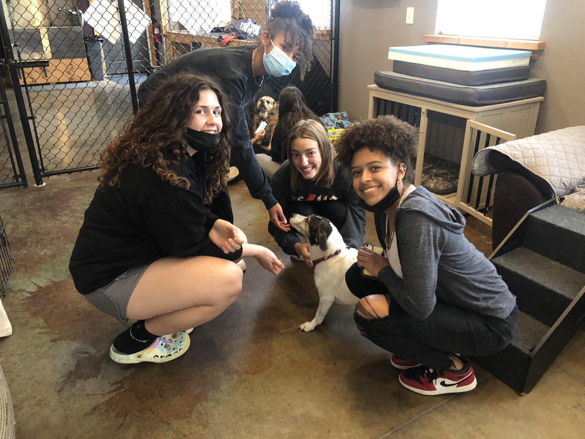 BSHSSeniorCounselor tweet media