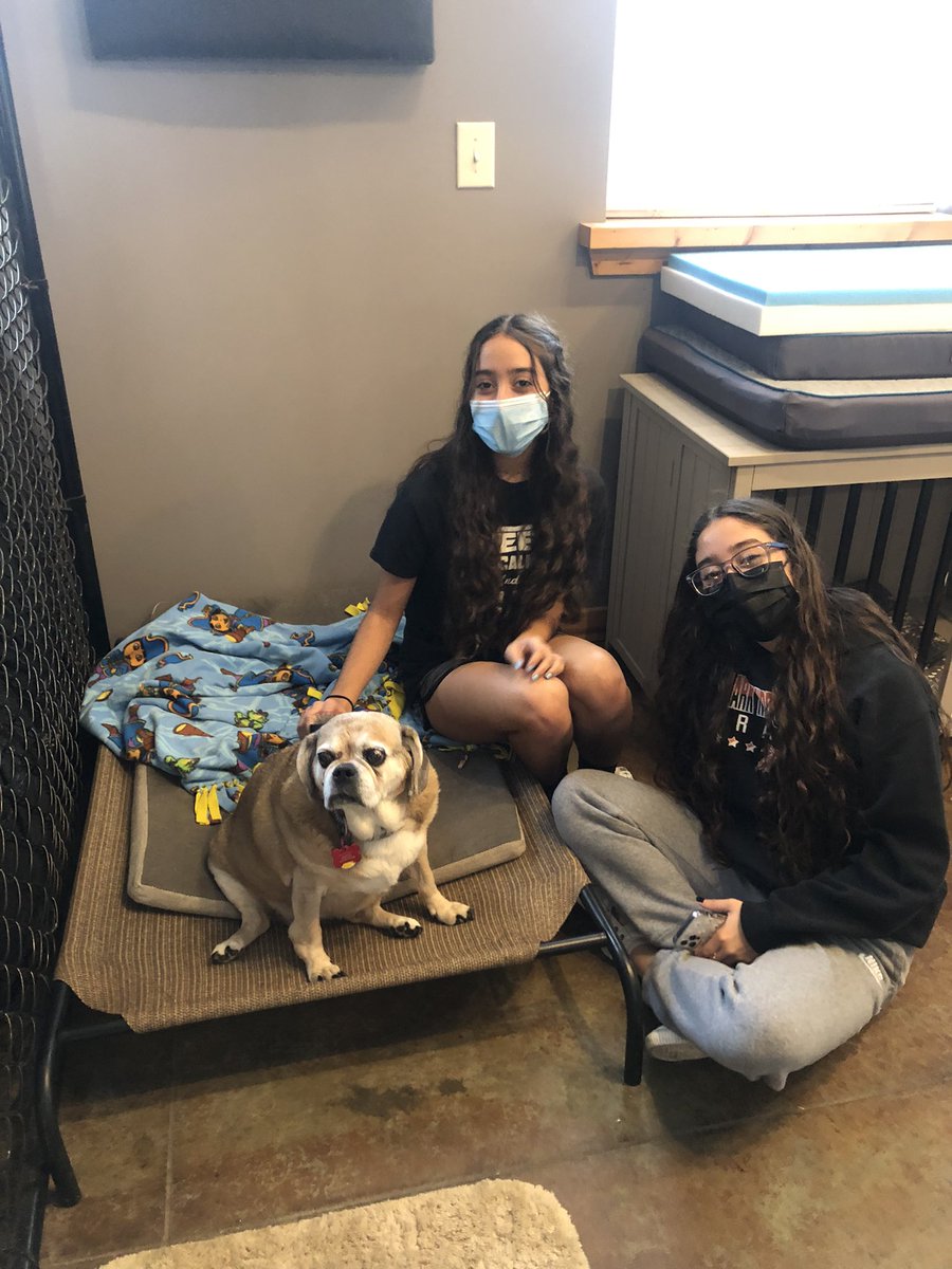 BSHSSeniorCounselor tweet media