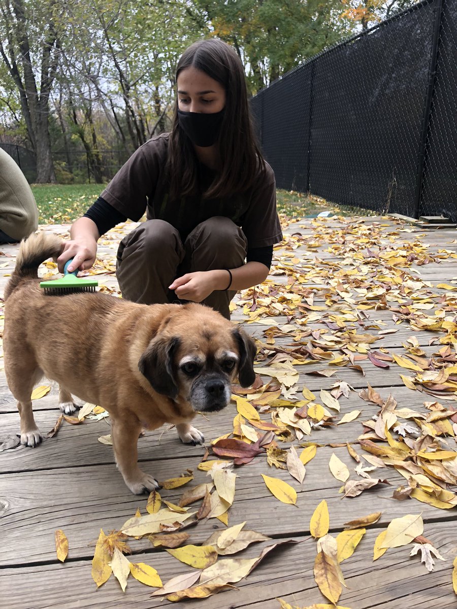 BSHSSeniorCounselor tweet media