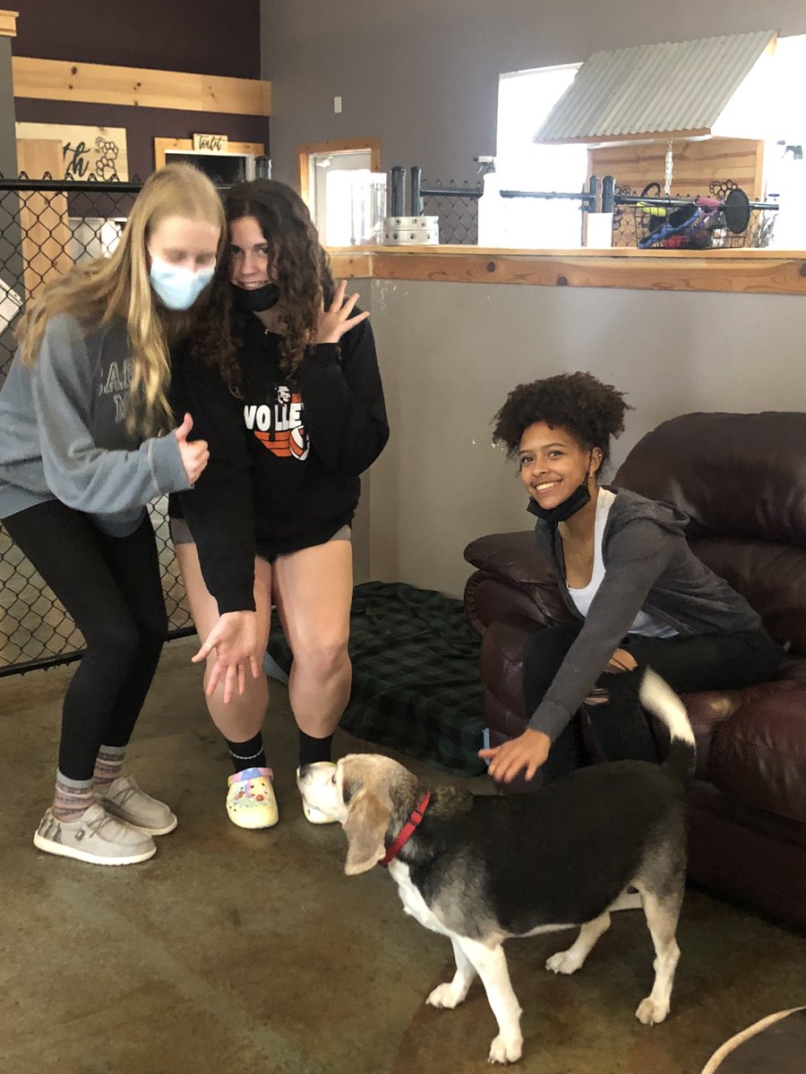 BSHSSeniorCounselor tweet media