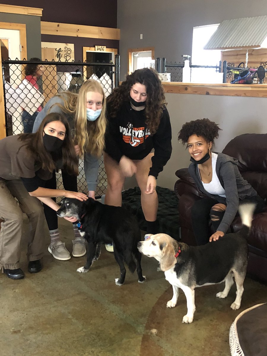 BSHSSeniorCounselor tweet media