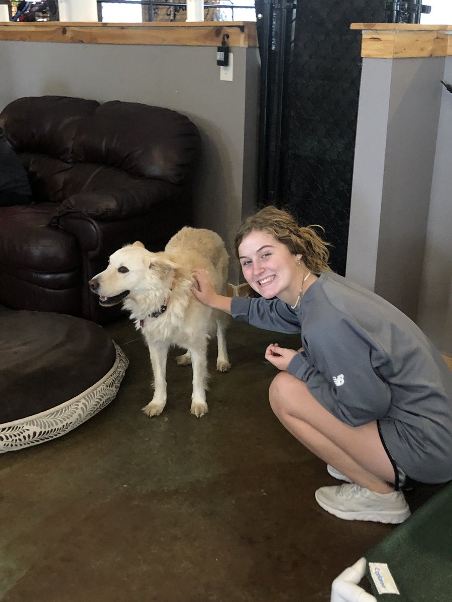 BSHSSeniorCounselor tweet media