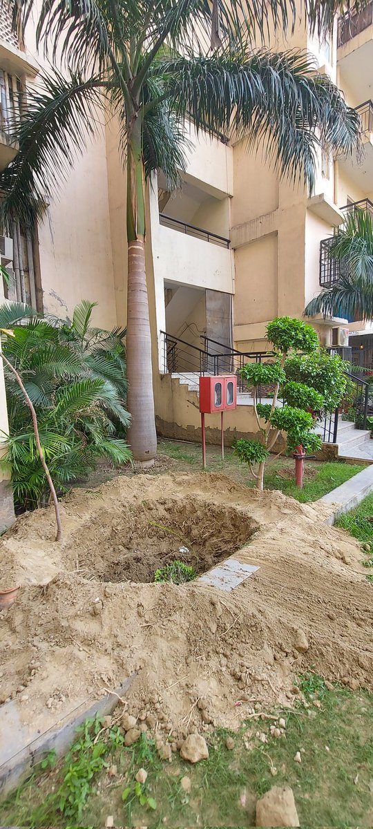 VishalAbrol7's tweet photo. @noida_authority @NGTribunal @dmgbnagar @noidapolice @volunteers7x
#SpectrumMetro mall builder has forcefully uprooted two full grown trees from society campus to beautify his mall
नोएडा में क्या कोई action लेगा बिल्डर के खिलाफ ?
#जनता की कौन सुनेगा @myogiadityanath
#जनसुनवाई https://t.co/RwE7TeySvp