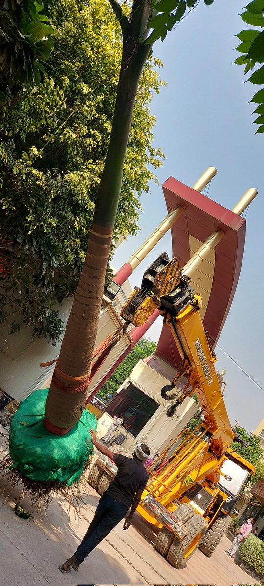 VishalAbrol7's tweet photo. @noida_authority @NGTribunal @dmgbnagar @noidapolice @volunteers7x
#SpectrumMetro mall builder has forcefully uprooted two full grown trees from society campus to beautify his mall
नोएडा में क्या कोई action लेगा बिल्डर के खिलाफ ?
#जनता की कौन सुनेगा @myogiadityanath
#जनसुनवाई https://t.co/RwE7TeySvp